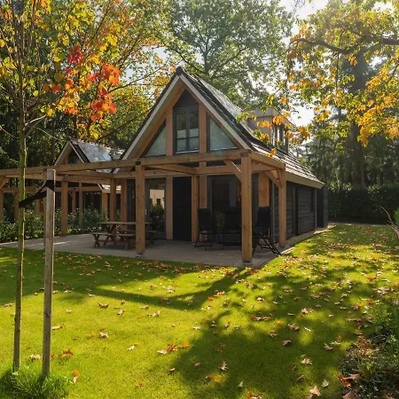 Detached 6-person Forest Villa, Walking Cycling In Lochem